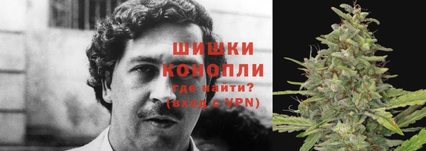 индика Богданович