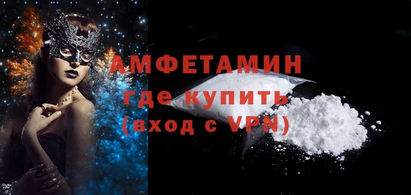индика Богданович
