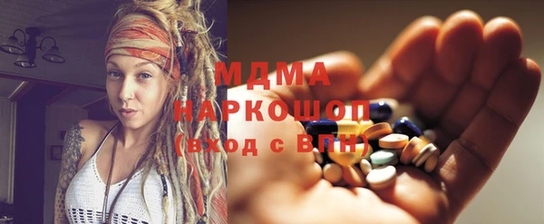 гидра Богородск