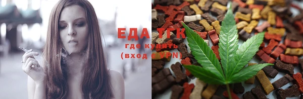 индика Богданович