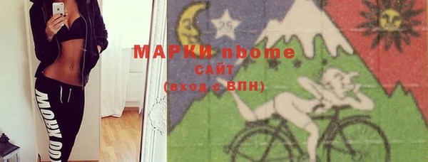гидра Богородск