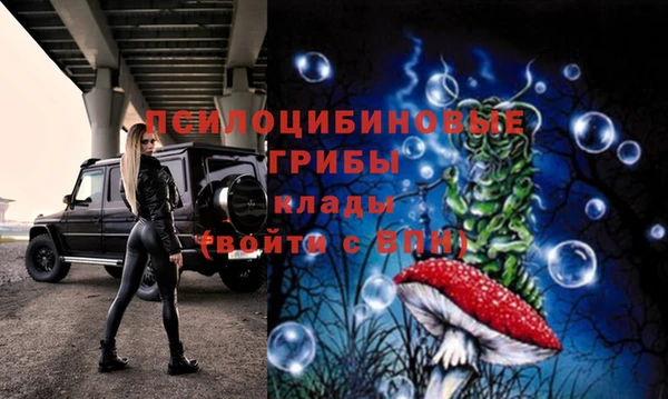марки lsd Богородицк