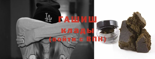 индика Богданович