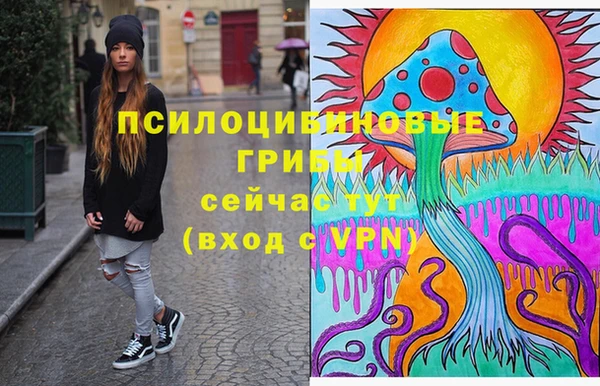 экстази Бородино