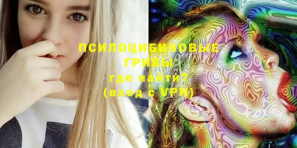 марки lsd Богородицк