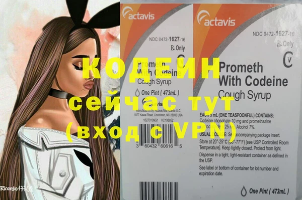 индика Богданович