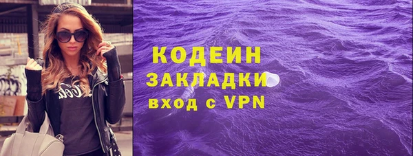 индика Богданович