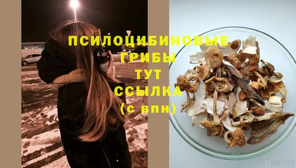 а пвп мука Сатка