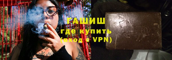 гидра Богородск
