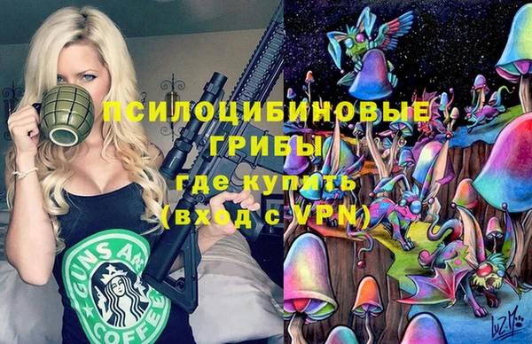 а пвп мука Сатка