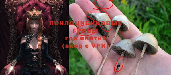 Альфа ПВП Бронницы