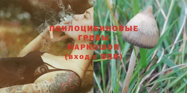 марки lsd Богородицк