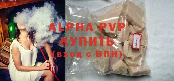 индика Богданович